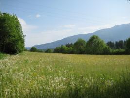 Praha 10 nesouhlasí se snahami o rozprodej pozemků v Trojmezí